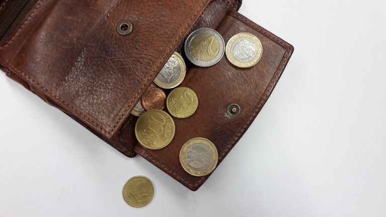 wallet, coins, money, euro, leather wallet, currency, loose change, pay, money coins, hard money, wallet, wallet, wallet, wallet, wallet