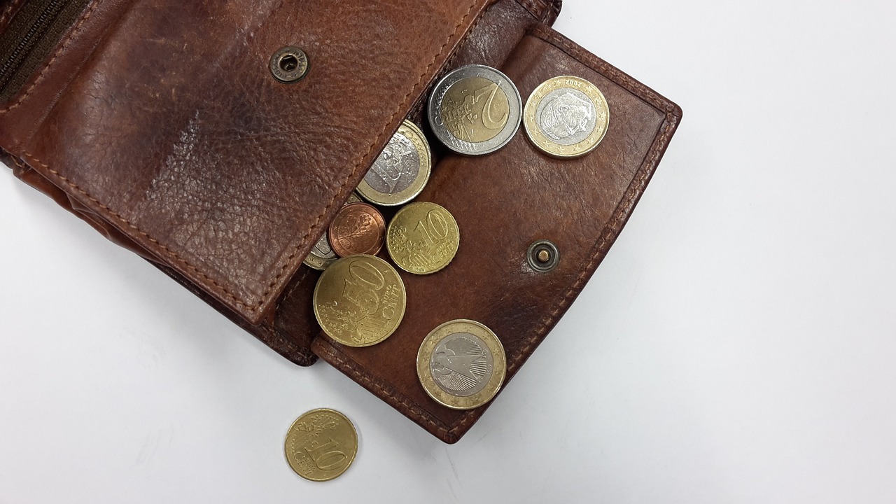 wallet, coins, money, euro, leather wallet, currency, loose change, pay, money coins, hard money, wallet, wallet, wallet, wallet, wallet