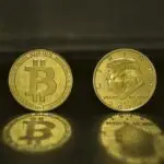 donald trump, president, donald, political, government, choice, bitcoin, btc, coin, coins, cryptocoin, cryptocurrency, exchange, golden, donald trump, donald trump, donald trump, donald trump, donald trump, government, choice, bitcoin, bitcoin, cryptocoin, cryptocoin, cryptocoin, cryptocoin, cryptocurrency, cryptocurrency