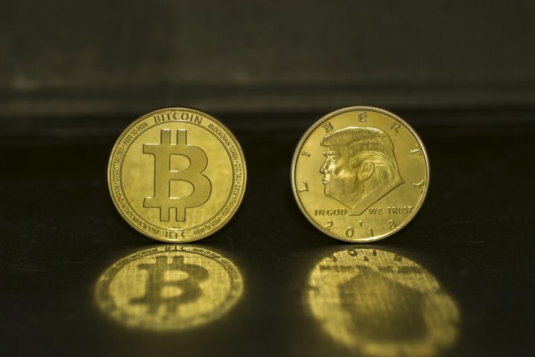 donald trump, president, donald, political, government, choice, bitcoin, btc, coin, coins, cryptocoin, cryptocurrency, exchange, golden, donald trump, donald trump, donald trump, donald trump, donald trump, government, choice, bitcoin, bitcoin, cryptocoin, cryptocoin, cryptocoin, cryptocoin, cryptocurrency, cryptocurrency